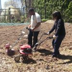 Food-For-Others-Garden-03-web Food-For-Others-Garden-03-web