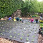 Food-For-Others-Garden-05-web Food-For-Others-Garden-05-web