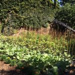 Food-For-Others-Garden-22-web Food-For-Others-Garden-22-web