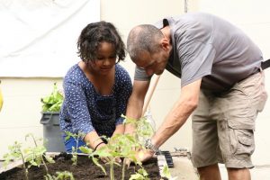 Planting at PS55