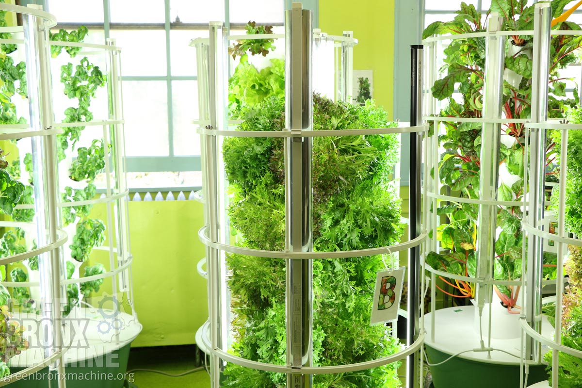 MSK Brings Fresh Food to Underserved People with Cancer through a Green Bronx Machine Partnership