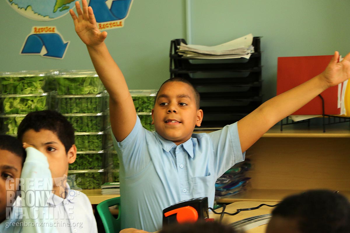 Enthusiastic student raising his hands