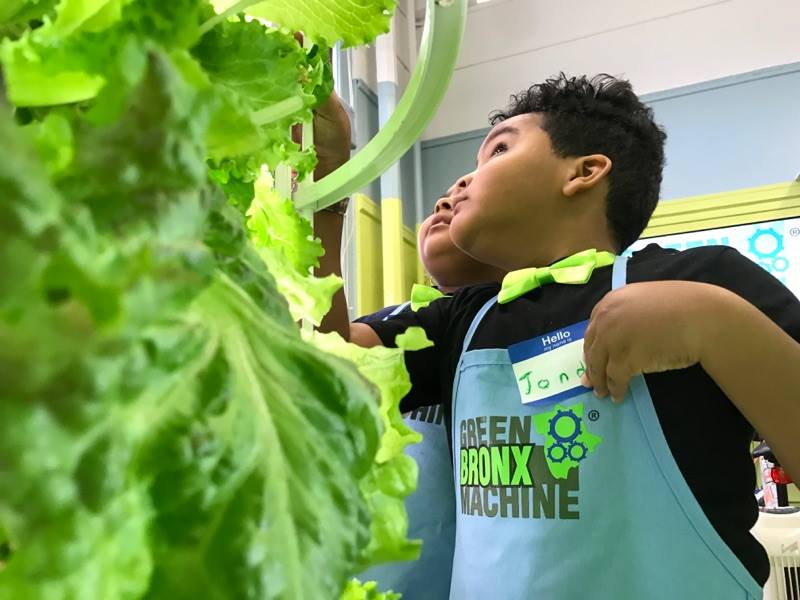 Green St. Louis Machine Visits the Bronx!