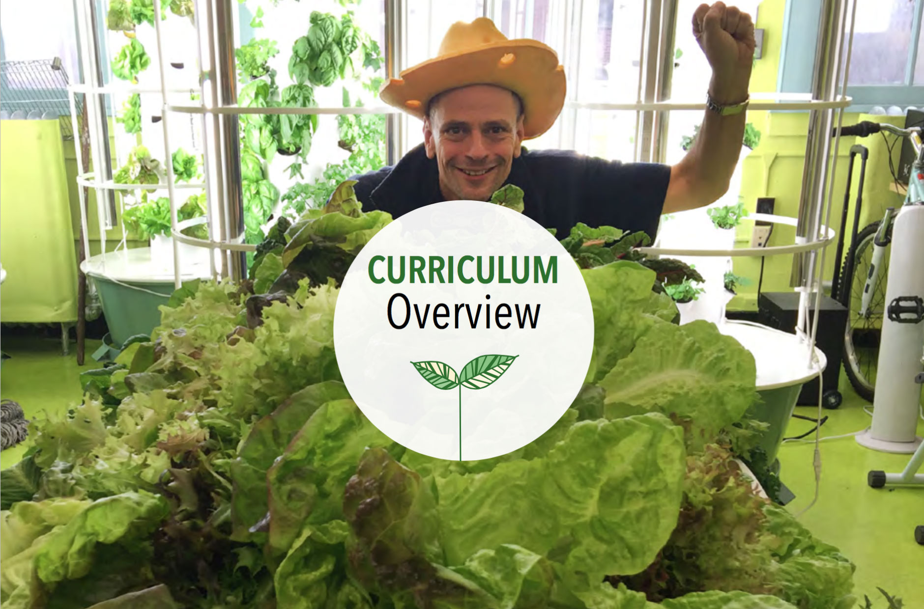Curriculum Overview