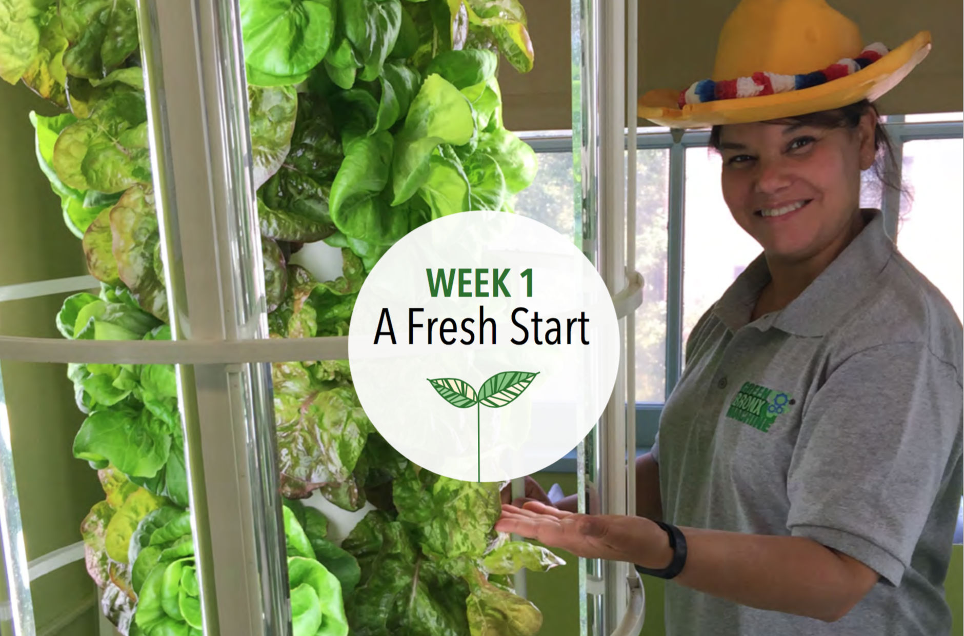 Week 1: A Fresh Start