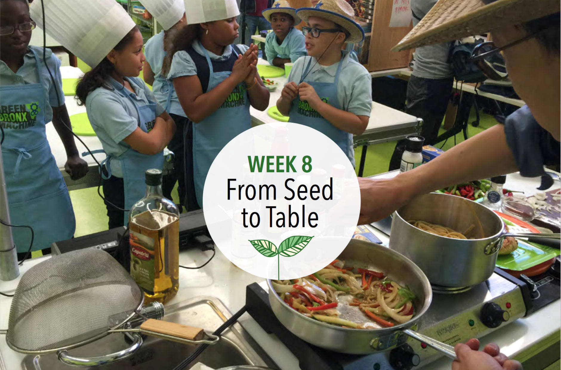 Week 8: From Seed to Table