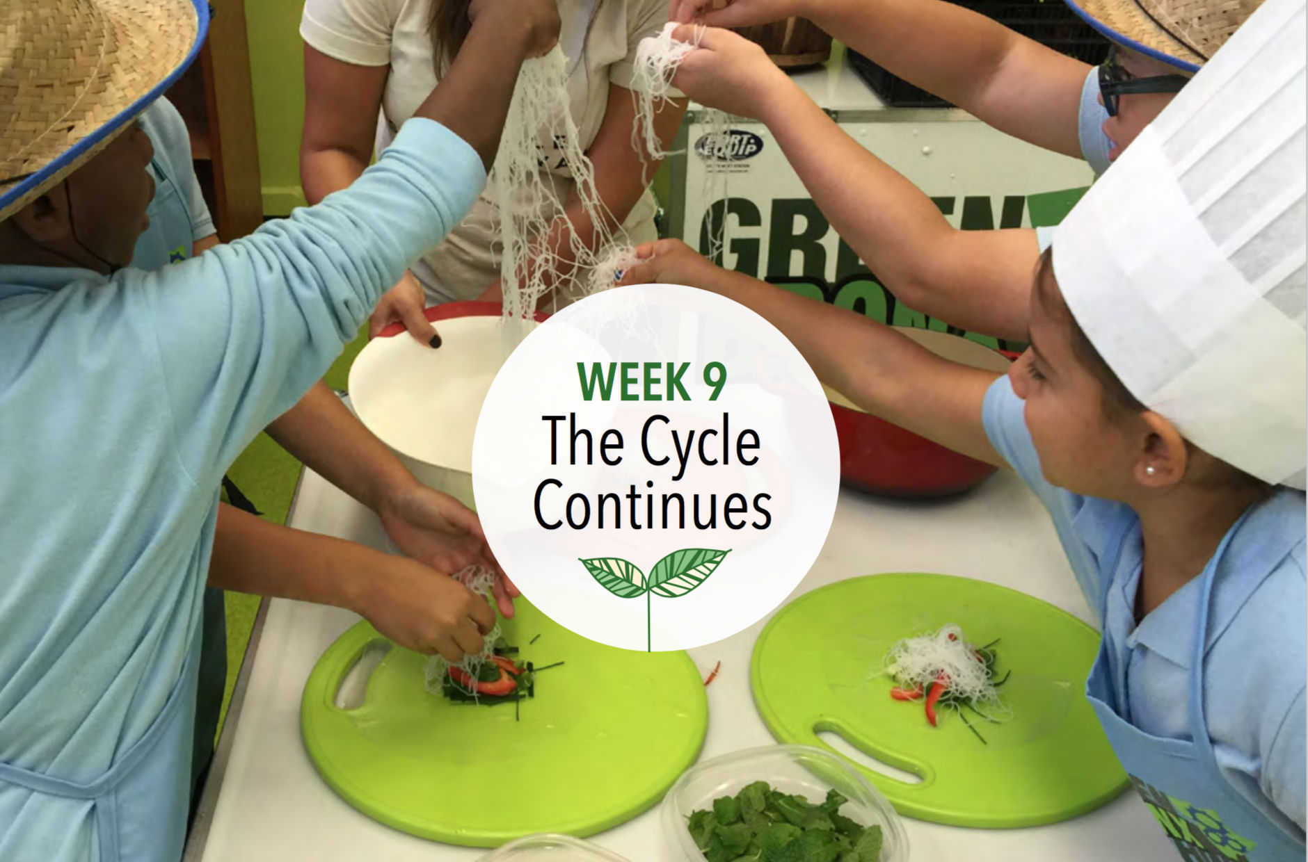 The Cycle Continues Week 9: The Cycle Continues