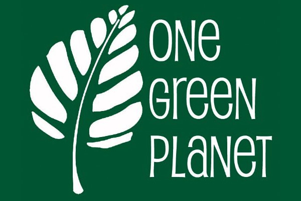One Green Planet – How One School Teacher Used the Power of Plants to Grow Healthy Minds and Schools in a Food Swamp