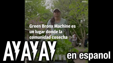 Un maestro cambió a toda una comunidad con unas semillas