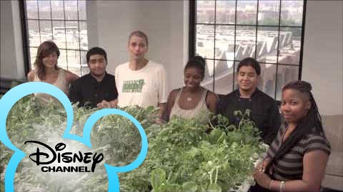The Disney Channel: Pass the Plate