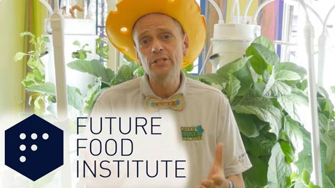 Sustainable Education