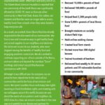 GBM-Impact-Report-2020-2