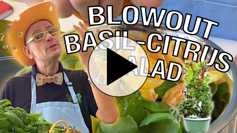 NEW RECIPE! Tower to Table to Tummy Returns! Delicioso!