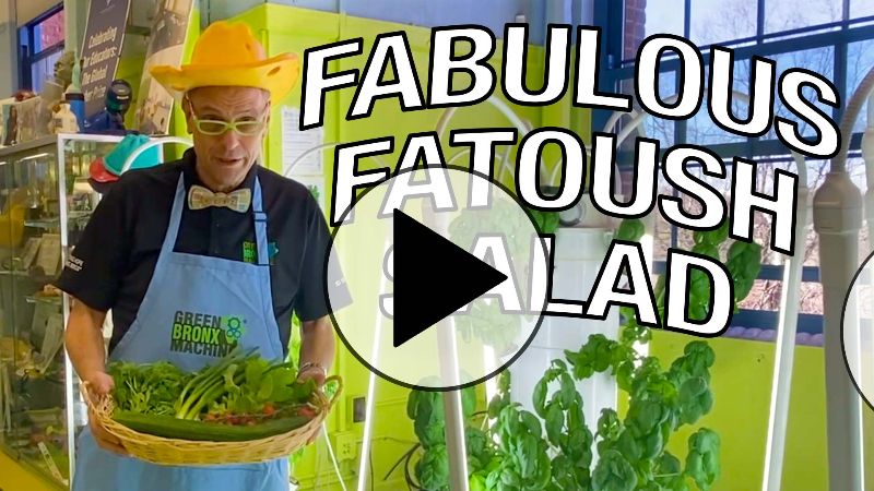 NEW RECIPE! Fabulous Fatoush Salad!