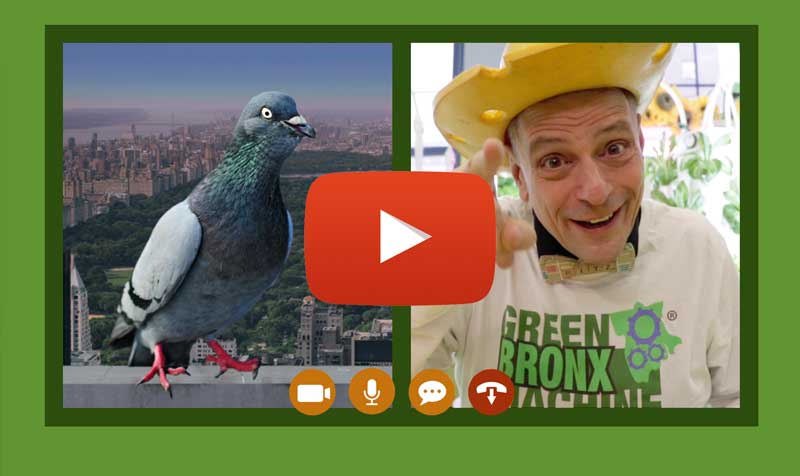 Have you seen our new TV show?