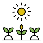 impact-icon-garden